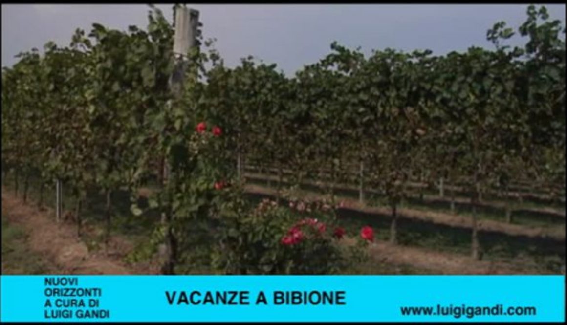 Vacanze_a_Bibione_-_puntata_40_-_Agriturismo_al_Cason_-_seconda_parte.2