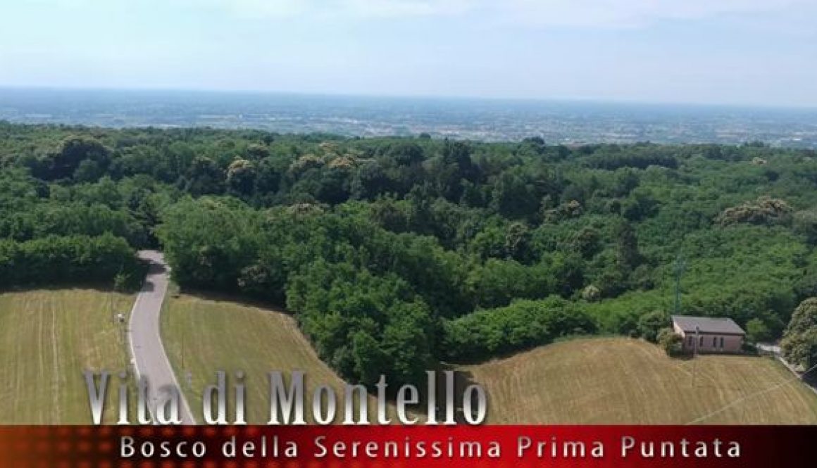 Vita_di_Montello_Il_Bosco_della_Serenissima_-_puntata_1.4